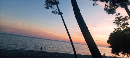 Joksimović apartmani - image 7