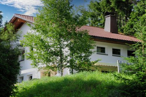 Ferienhaus am Feldberg