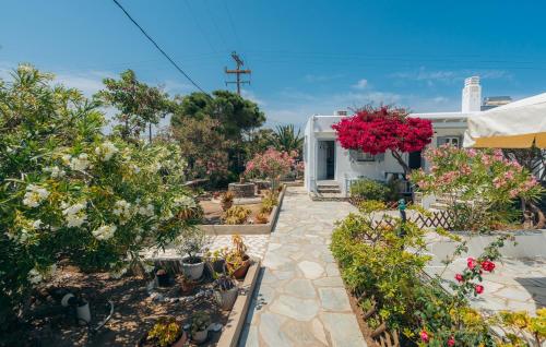 Nostos Sifnos - image 12