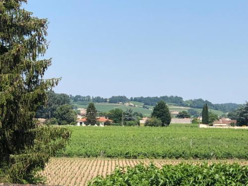 Clos de Bertinat