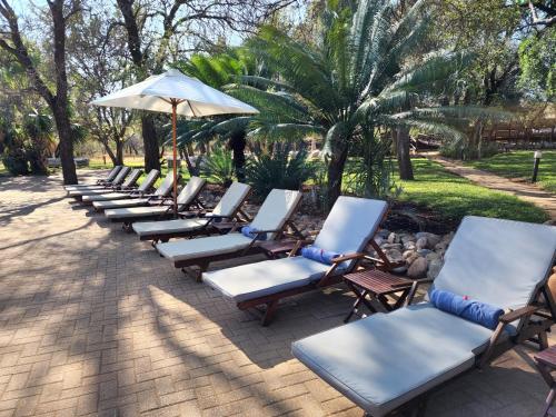 Karongwe Portfolio- Shiduli Private Game Lodge