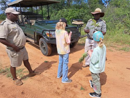 Karongwe Portfolio- Shiduli Private Game Lodge