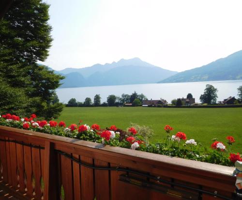 Kilátás, Haus Bader in Steinbach Am Attersee