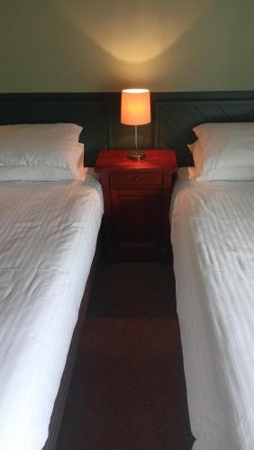 Hotel Sergul, Londýn (fotografie 9)