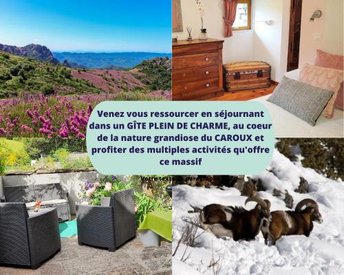 Le gîte du Caroux