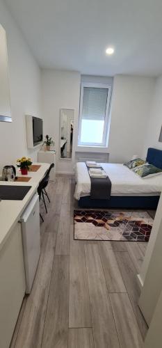 Mika Apartment and Studios Room Type - Studio