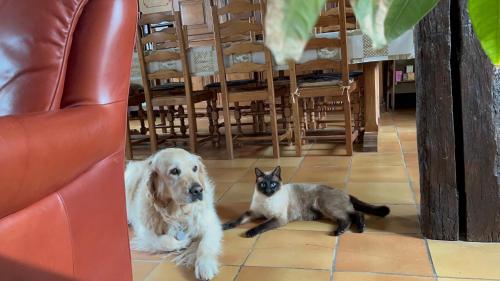 2 chambres dans maison de campagne avec piscine intérieure