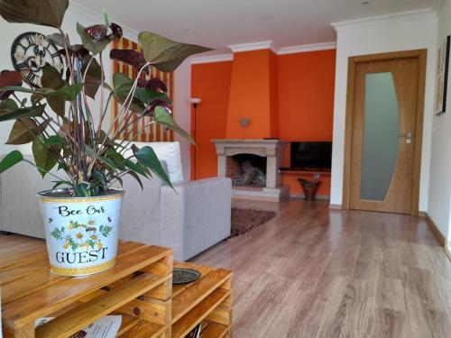 Casa da Avo dos Anjos gîte à louer Crespos