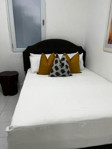 Janer House at San Juan