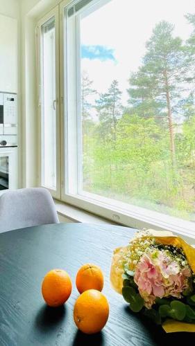 Cozy studio, easy access to Helsinki and near shopping center, Helsinki (photo 9)