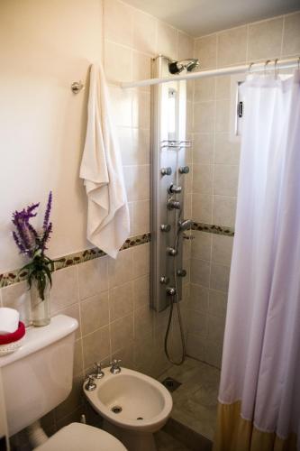 COSTA COM Departamentos de Montaña