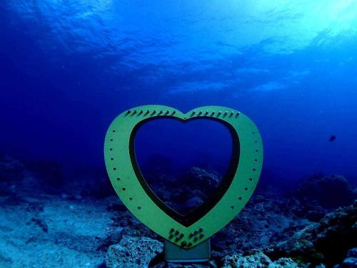 Sports and activities, Green Island Coastal Homestay in Green Island