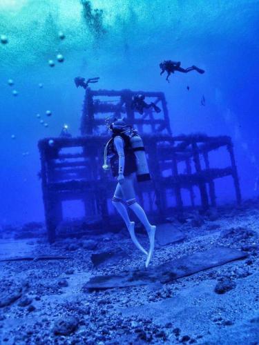 Sports and activities, Green Island Coastal Homestay in Green Island