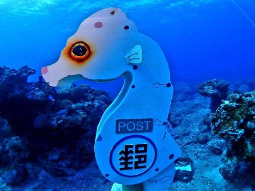 Sports and activities, Green Island Coastal Homestay in Green Island