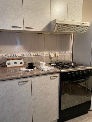 Starčević apartmani Orašac Aranđelovac (Starcevic apartmani Orasac Aranđelovac OBAVESTENJE Proveriti raspolozivost putem poruke zbog ucestal) in Arandjelovac