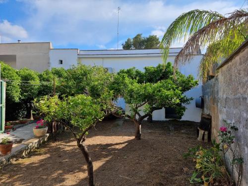  Casa Vacanze Nonna Maria in Carpignano Salentino