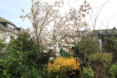 B&B am See Köln - Privatzimmer