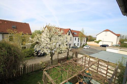 A környék, B&B am See Köln in Chorweiler