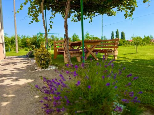 Apartment Helena Airport - image 12