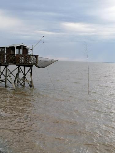 Maisonnette de charme entre plages et estuaire in Saint-Vivien-de-Medoc
