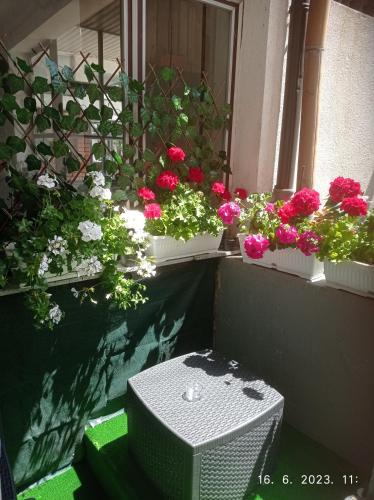 Studio apartman Sokak
