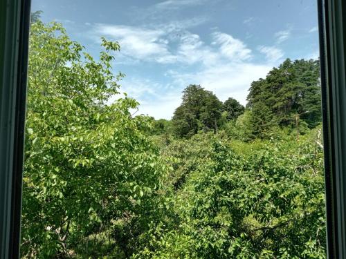 花園, Nunu's Guesthouse in 茨卡爾圖博
