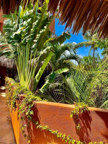 Casa Mixteca