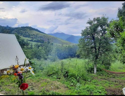 Amoj B&B and Guest house in Odzun