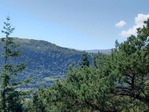 Tan y coed's Rosemary Cabin