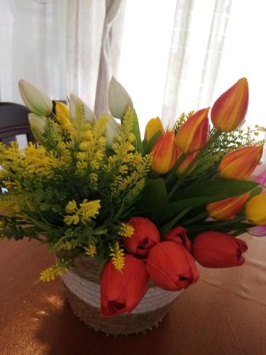 Eva Casa Vacanza gîte à louer Felline