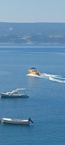 Apartman studio Babilo 1