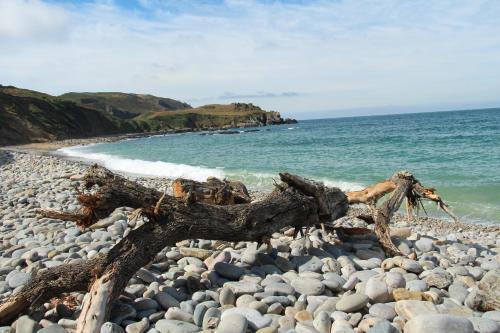 Sur le chemin de la plage