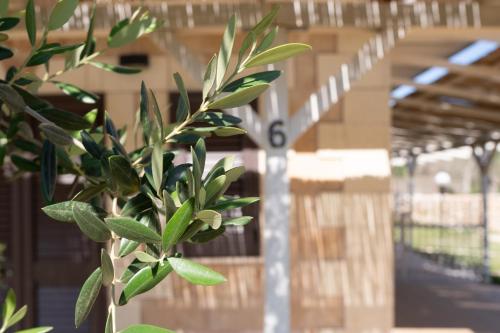 Tenuta San Lorenzo Tenuta San Lorenzo