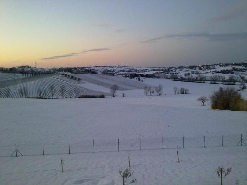 Agriturismo bio Verde Armonia