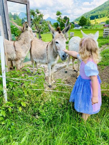 Ferienwohnung Brunnkogelblick in Neukirchen