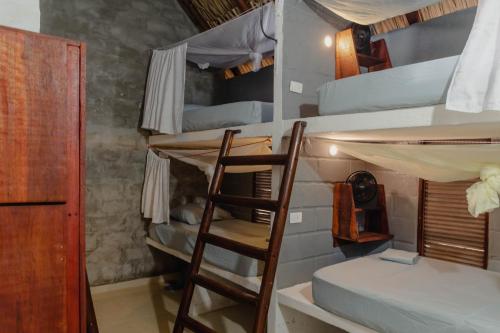 El Zoo Hostel, Bar & Pool