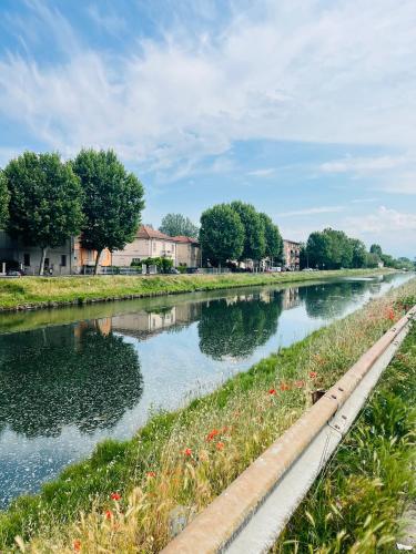 Green House in Pavia Center