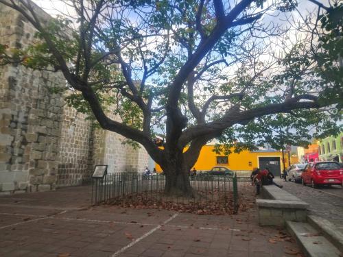 Habitación en barrio de Jalatlaco