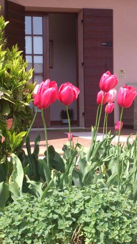B&B Zia Maria – Fonte, GA