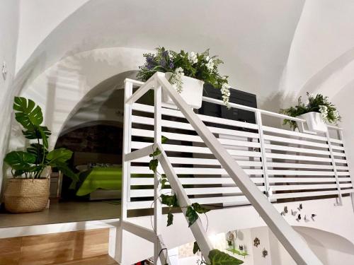 Ursino holiday apartment 4