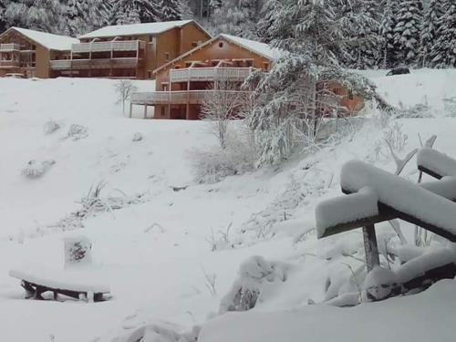 Gîte La Bresse 3 pièces 4 personnes - FR-1-589-264 - image 14