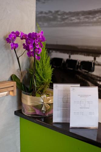 Green Hotel Płock - image 11