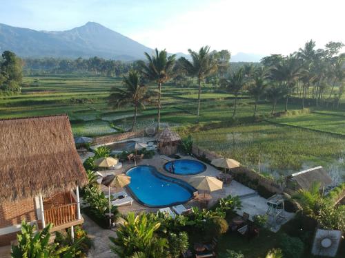 Tetebatu Flush Harmony 3