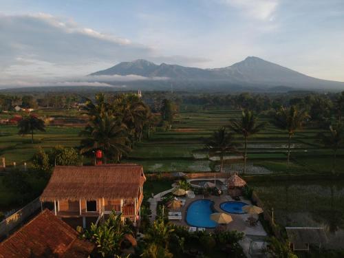 Tetebatu Flush Harmony – Tetebatu, ID