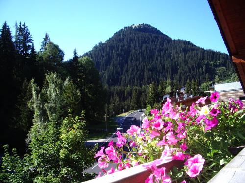 hotel photo