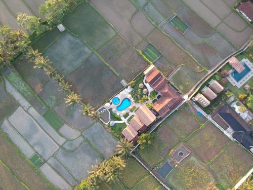 Tetebatu Flush Harmony – Tetebatu, ID