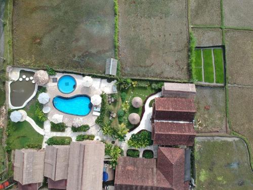 Tetebatu Flush Harmony – Tetebatu, ID