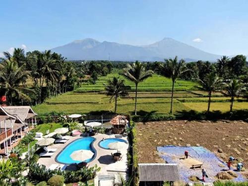 Tetebatu Flush Harmony – Tetebatu, ID