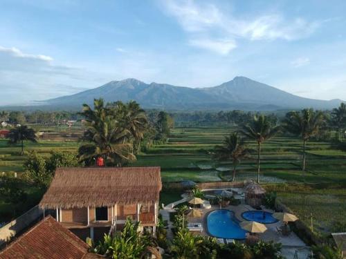 Tetebatu Flush Harmony Room Type - Standard Twin Room with Mountain View
