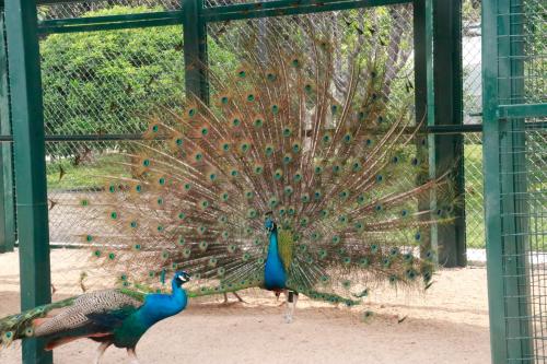青岛鑫江温德姆酒店